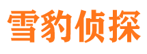 浪卡子外遇出轨调查取证